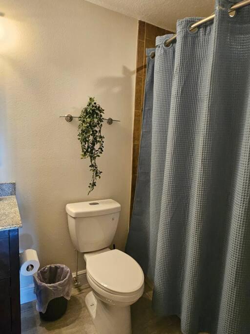 Cozy Two Bedrooms Apartment in Valrico